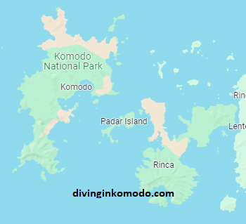 komodo island dive