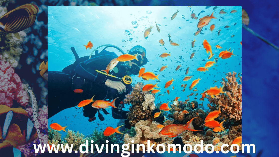 scuba diving phuket