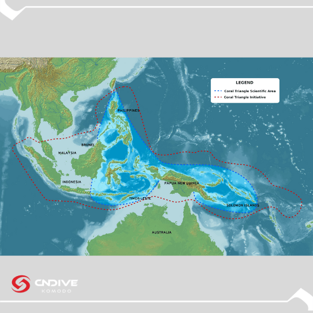 diving komodo island