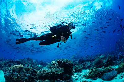 best scuba diving in indonesia