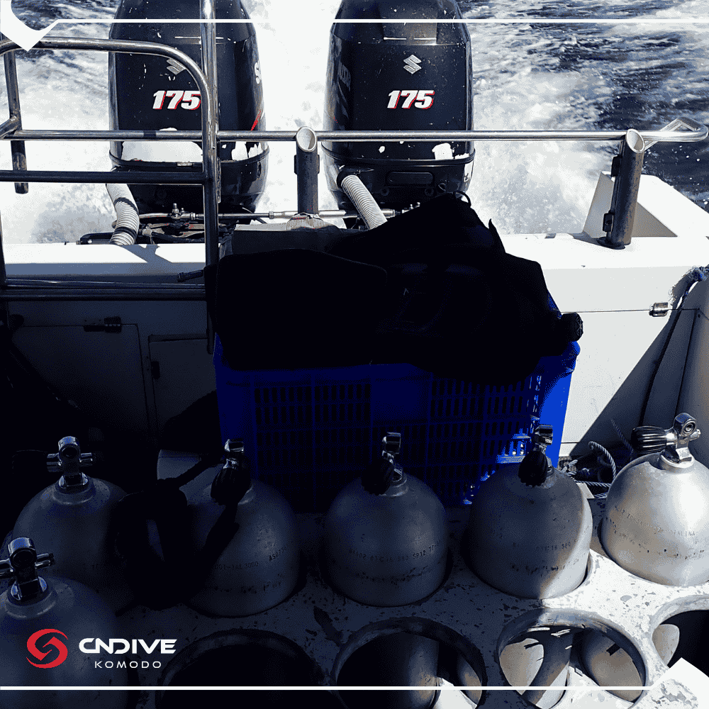 An after dive scene in our speedboat- Angelina